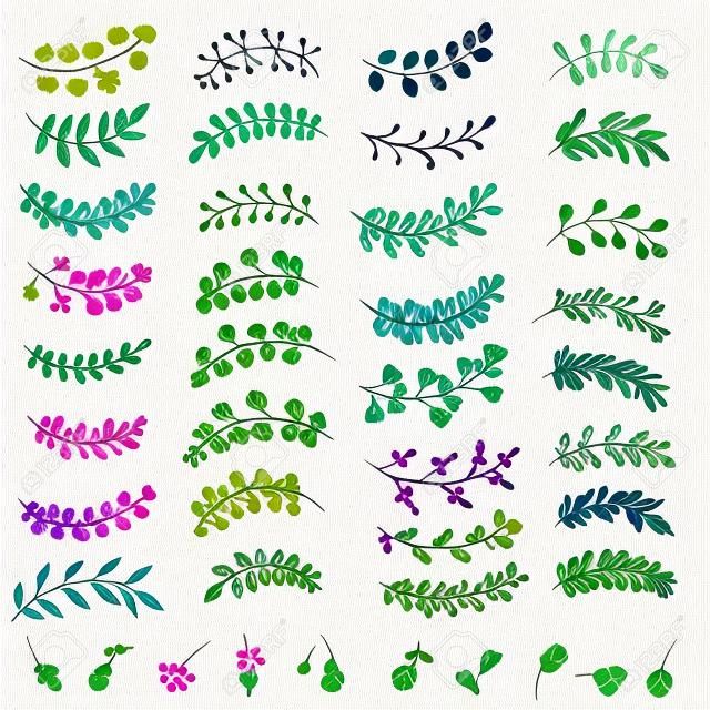 手工绘制的花树枝和叶子，用于设计请柬和贺卡。