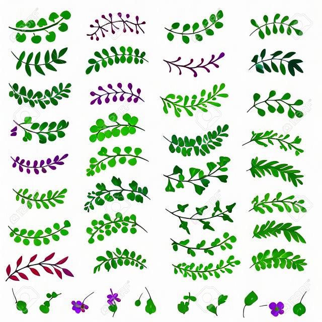 手工绘制的花树枝和叶子，用于设计请柬和贺卡。