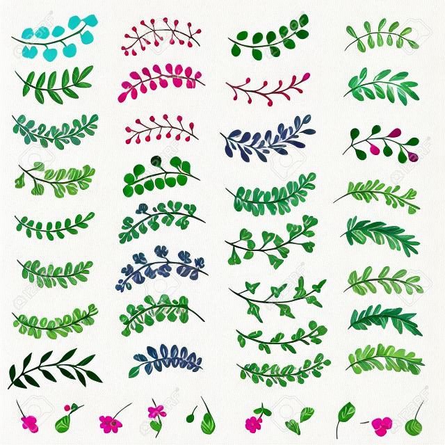 Hand draw set of floral branches and leaves. Hand painted elements for design invitations and greeting cards