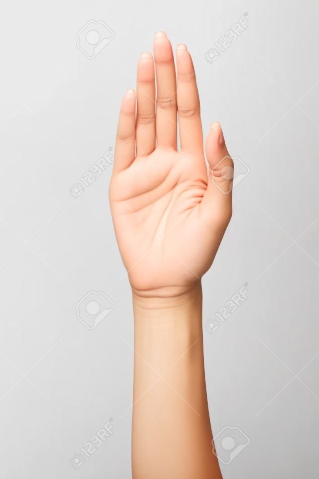 Female palm hand gesture, isolated on a white background