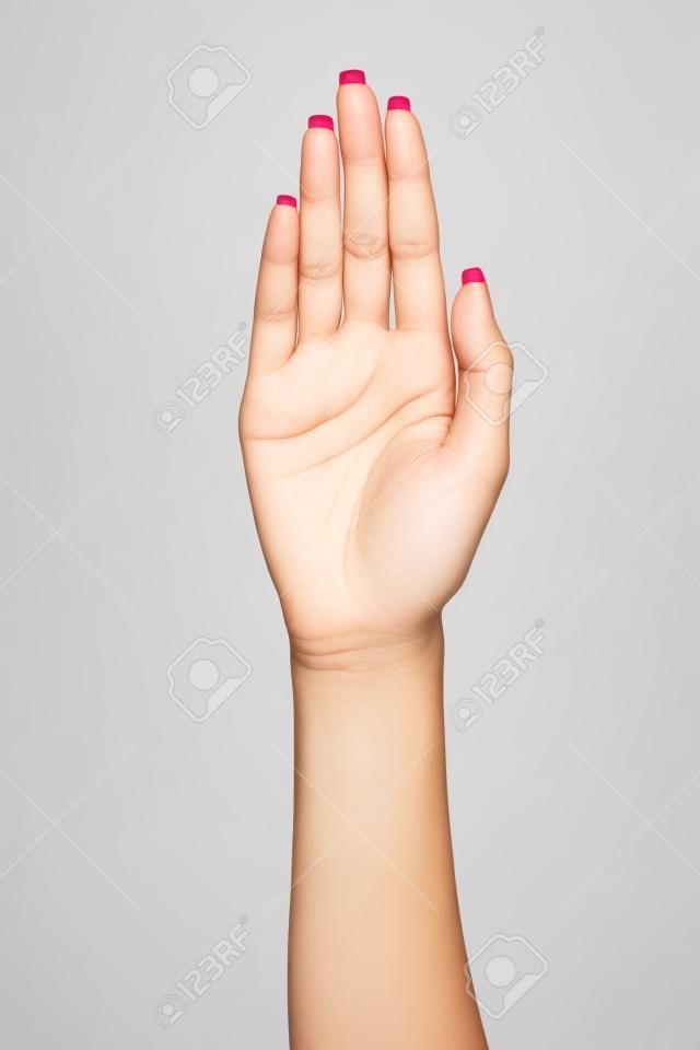 Female palm hand gesture, isolated on a white background