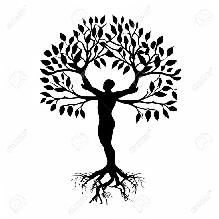 abstrakcyjne drzewo ludzkie, osoba z korzeniami, gałęziami i liśćmi