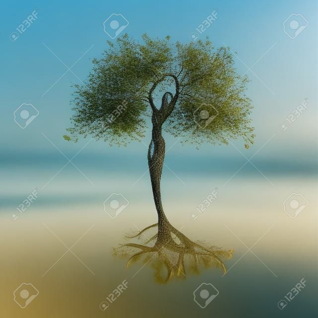 女性の木、自然とのつながり