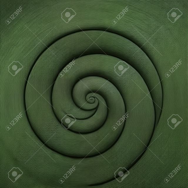 Koru, forme en spirale basée sur une fronde de fougère argentée, symbole maori
