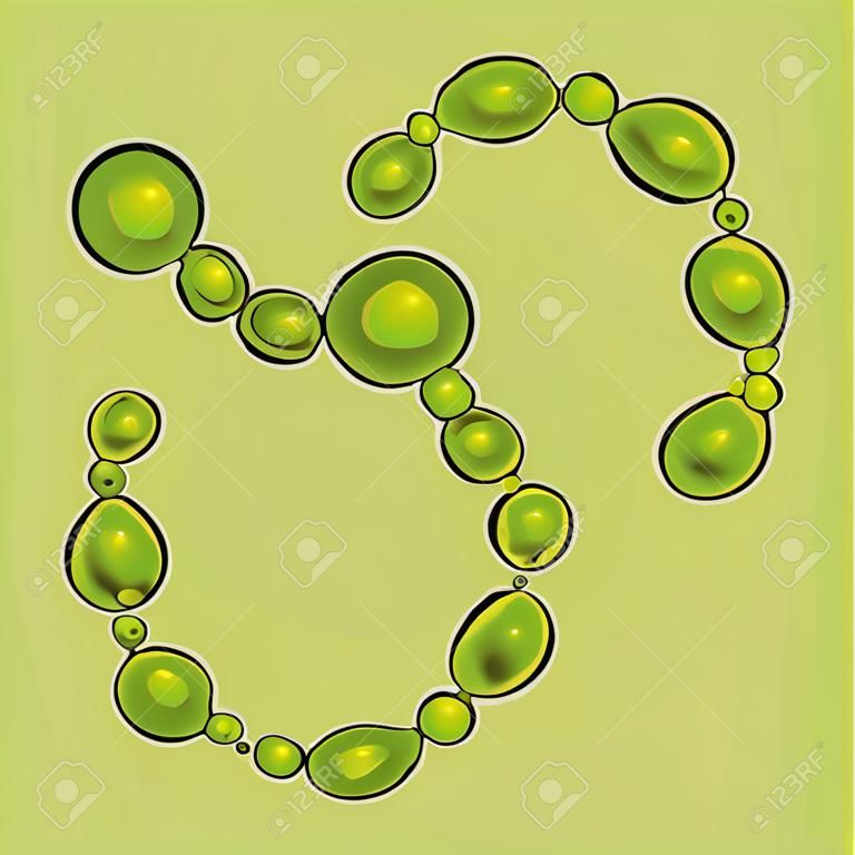 Groupe de cyanobactéries sur fond vert, illustration vectorielle