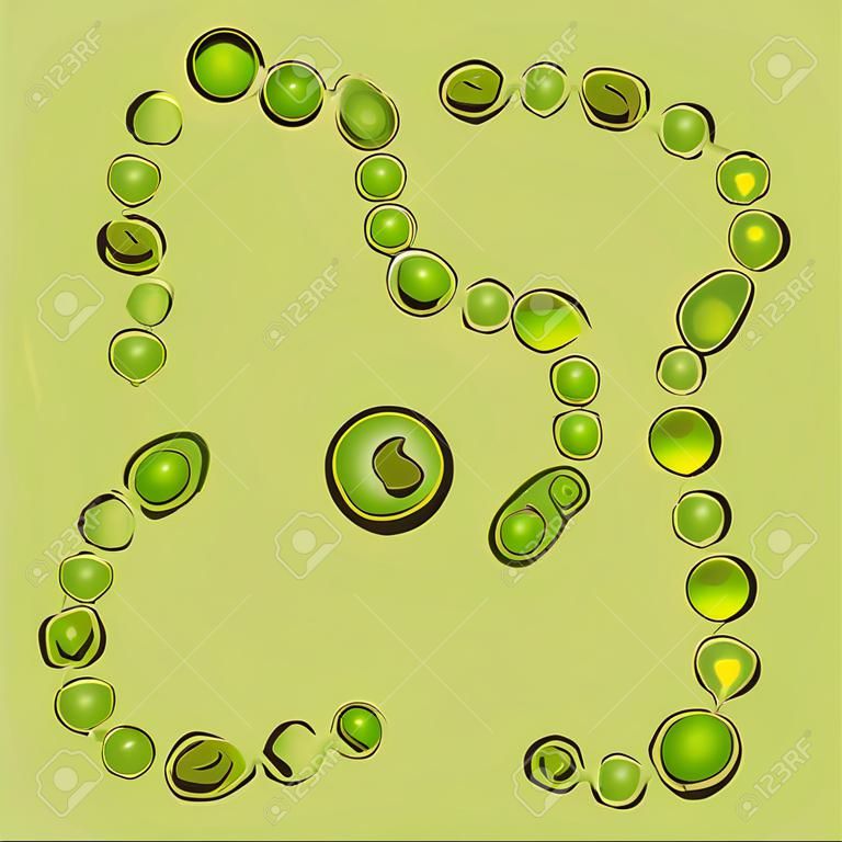 Groupe de cyanobactéries sur fond vert, illustration vectorielle