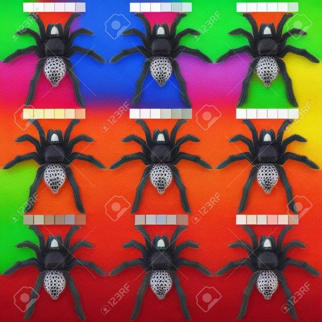 Tarentules araignées ensemble de 9 couleurs