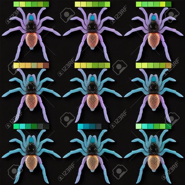 Spiders Tarantulas Set of 9 Colors