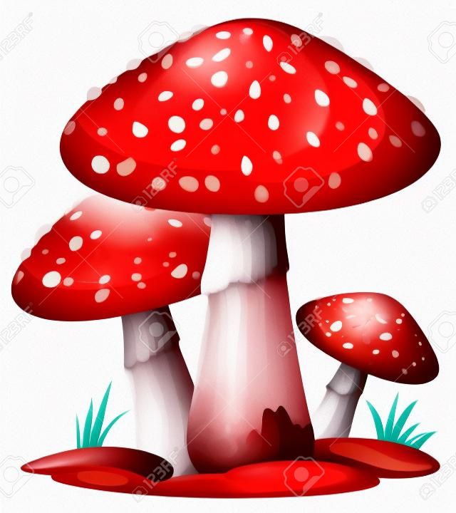 흰색 배경에 빨간 버섯의 그림