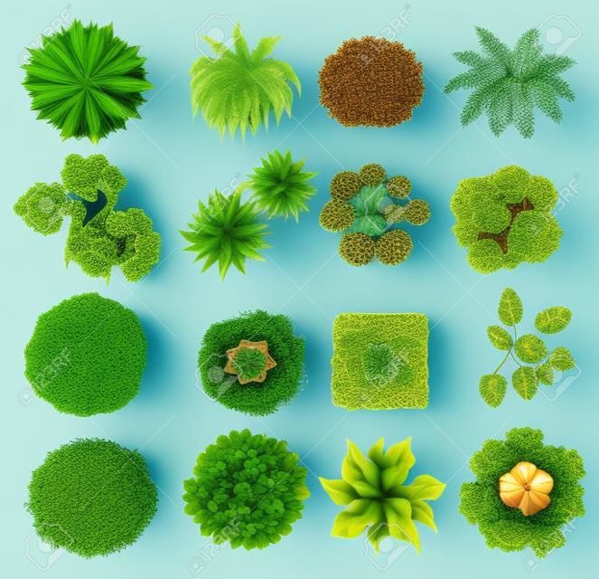 Top Blick auf verschiedene Arten von Pflanzen Illustration