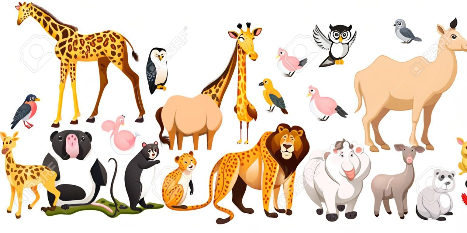 Diferentes tipos de animales silvestres ilustración