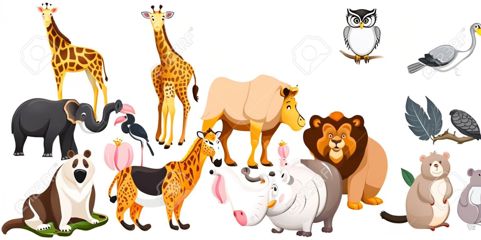 Different kind of wild animals illustration