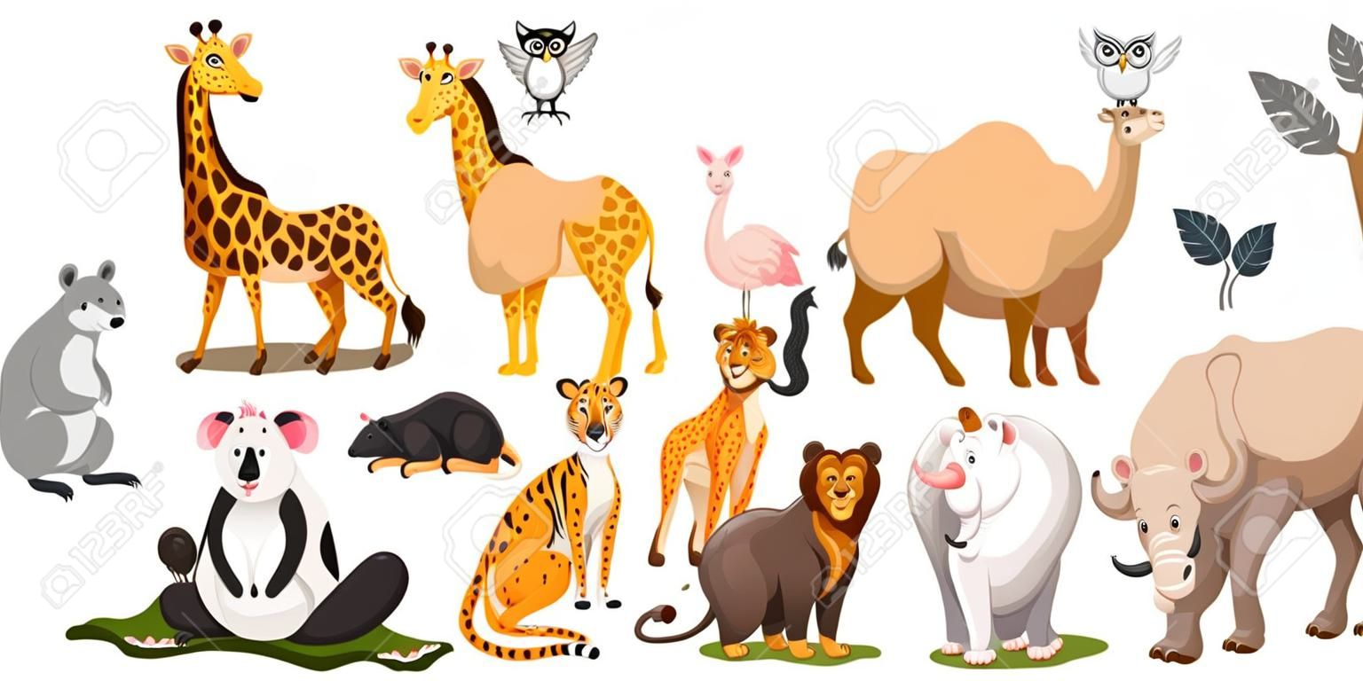 不同種類的野生動物插圖