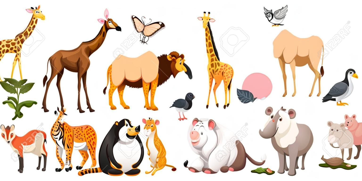 Vahşi hayvanlar illüstrasyon farklı tür