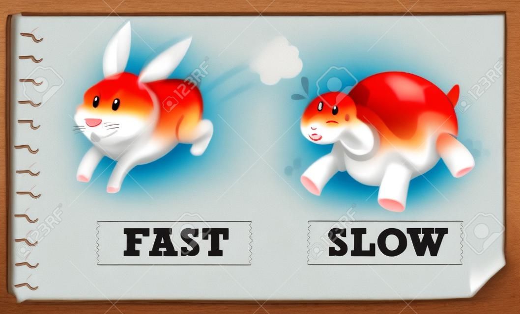 Opposite adjectives fast and slow illustration