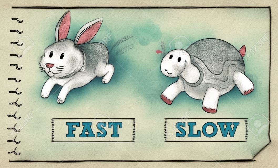 Adjetivos opostos ilustração rápida e lenta