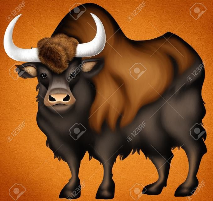 Buffalo with brown fur illustration