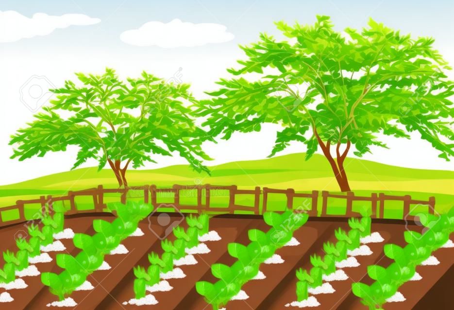 Agricultura vegetal na área rural ilustração