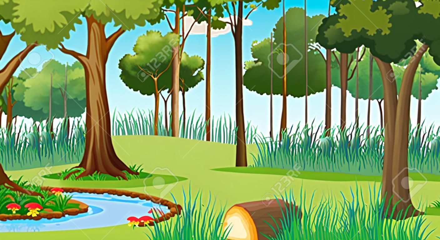 Forest landscape scene at day time with many different trees illustration