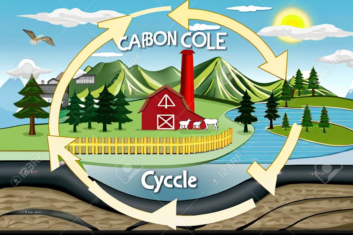 Diagrama do ciclo do carbono com ilustração da paisagem da exploração agrícola da natureza