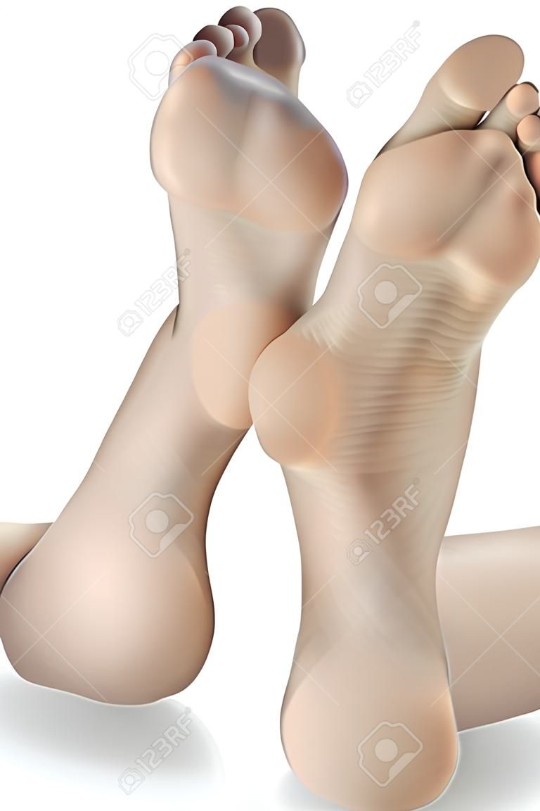 Woman feet isolated over white