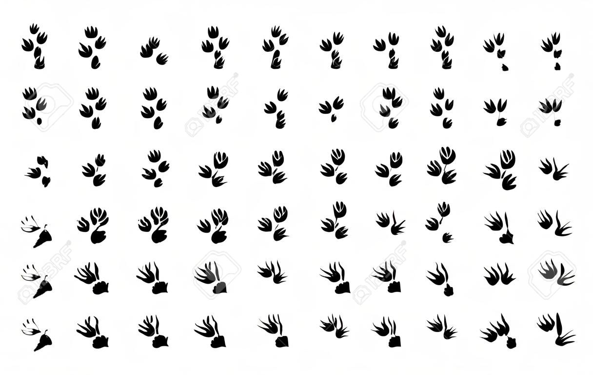 Large set of animal and bird trace steps imprints isolated on white