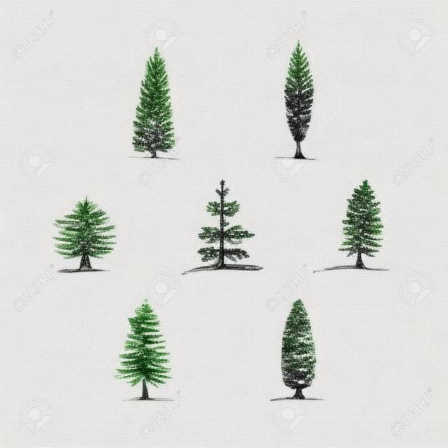 Set of hand drawn sketch trees - pine, fir tree, cypress.
