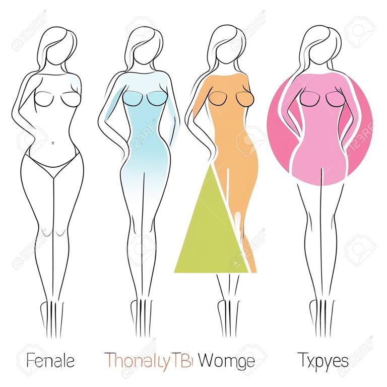 Женский типы тела анатомии. Главная женская фигура форма, свободный шрифт, используемый.