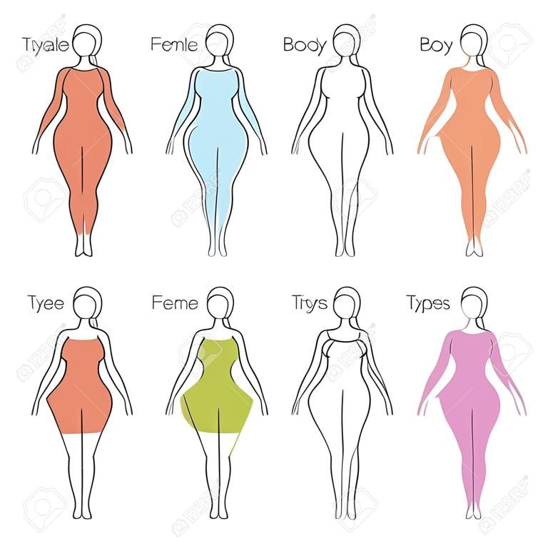 Weibliche Körper-Typen Anatomie. Haupt Frau Figur Form, kostenlose Schriftart verwendet.