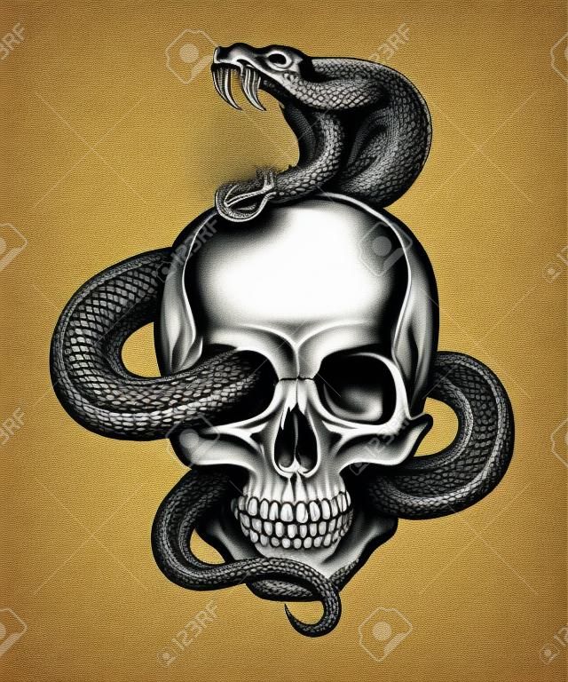 Человеческий череп с ползет змея. Иллюстрация в стиле гравировки.