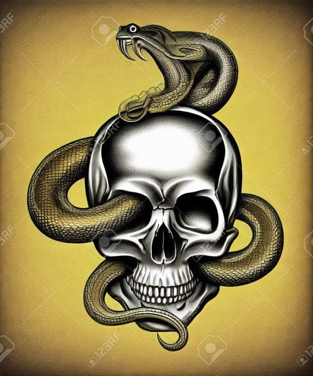 Human skull with crawling snake. Illustration in engraving style.