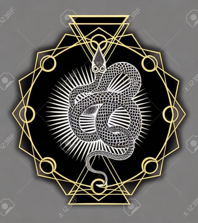 Emblema esotérico da geometria sagrada da serpente. Ilustração vetorial isolada no preto