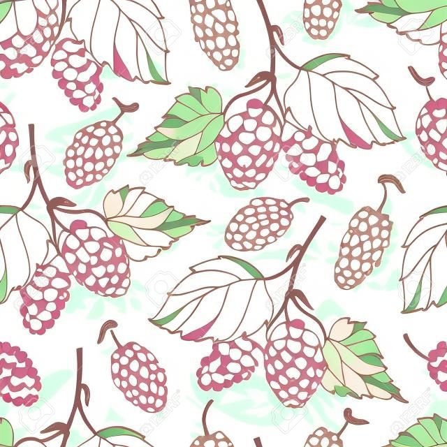 Бесшовный фон с контуром Mulberry или Morus кучу с ягодами и листьями в пастельных тонах на белом фоне.