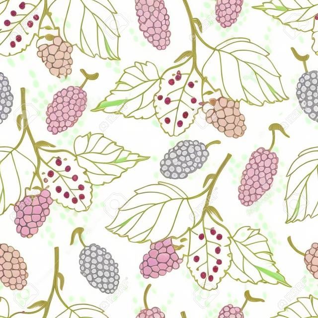 Бесшовный фон с контуром Mulberry или Morus кучу с ягодами и листьями в пастельных тонах на белом фоне.