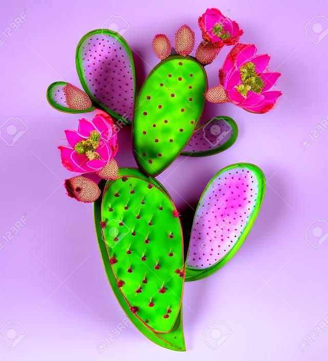 Łodyga opuncji lub kaktusa opuncji z kwiatem na białym tle.