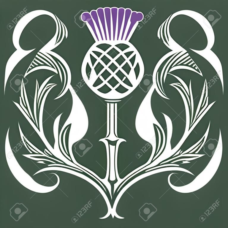 Old Scottish design. Thistle flower in Celtic ethnic style