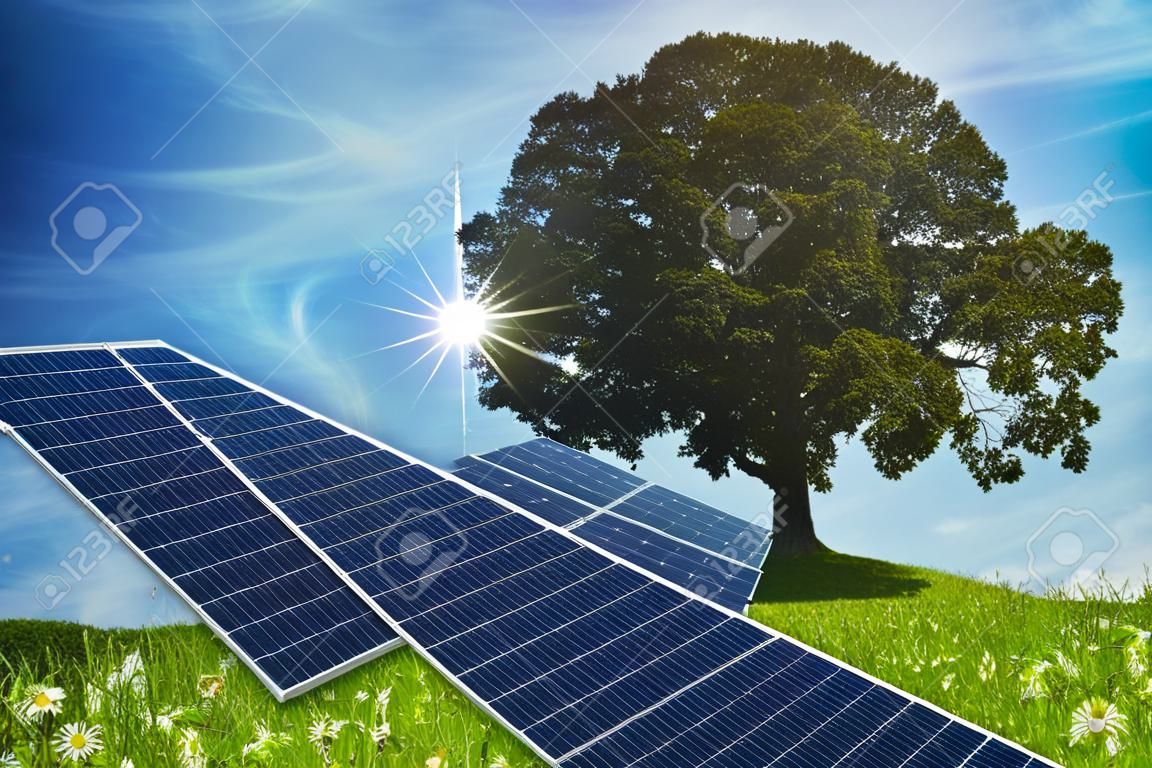 concept de panneaux solaires avec un chêne en arrière-plan