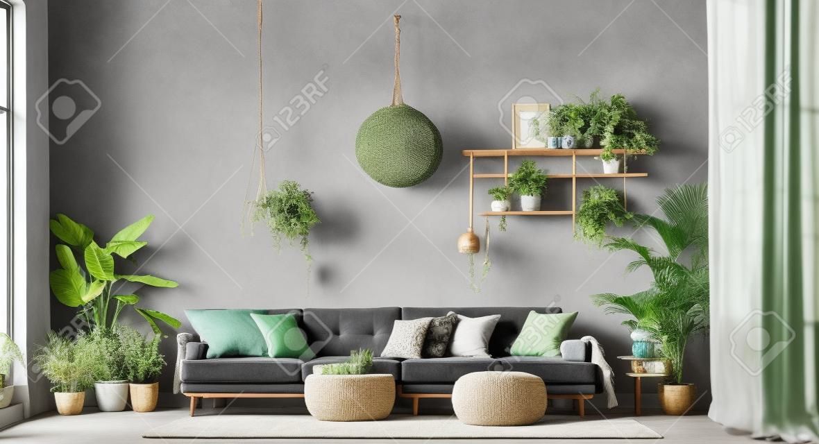 Un gran sofá gris en un cómodo interior bohemio con plantas verdes, decoración de mimbre, mesa y puf.