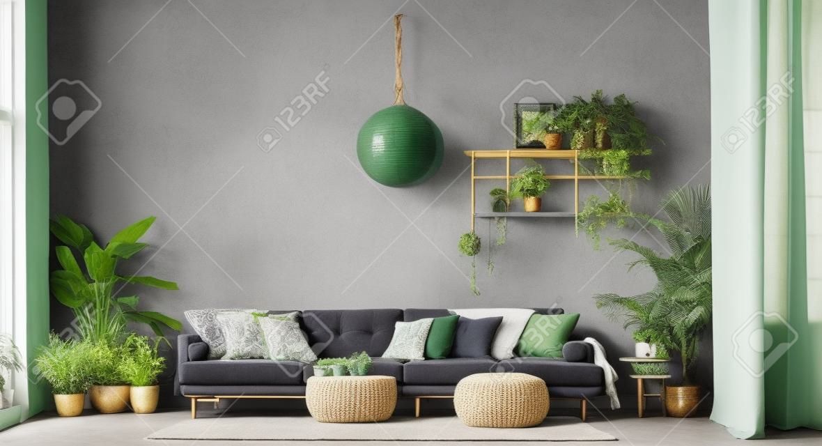 Un gran sofá gris en un cómodo interior bohemio con plantas verdes, decoración de mimbre, mesa y puf.