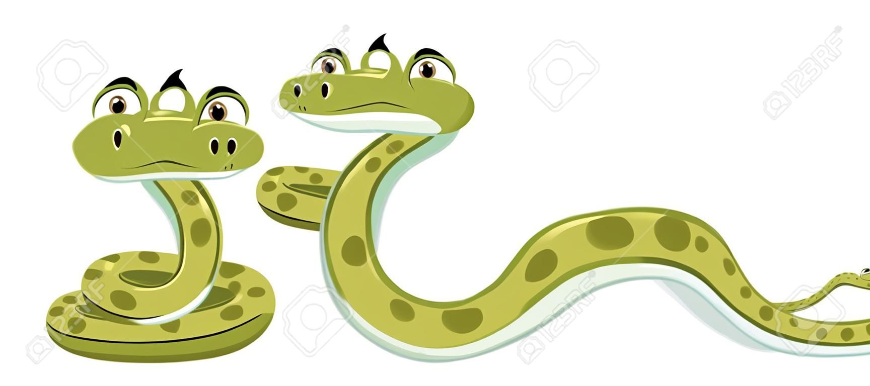 Snake with different position illustration