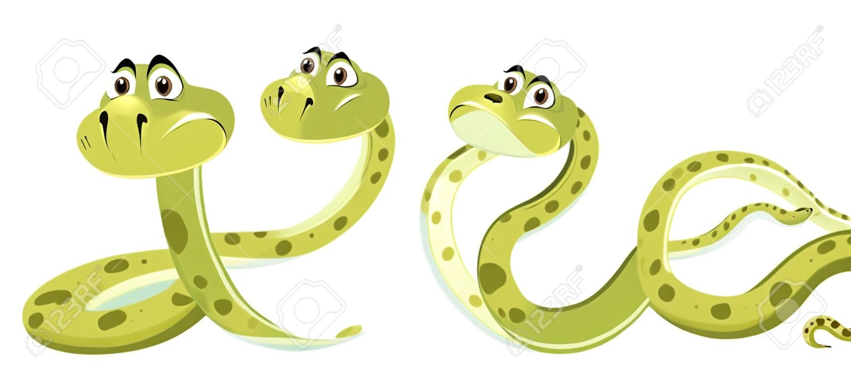 Snake with different position illustration