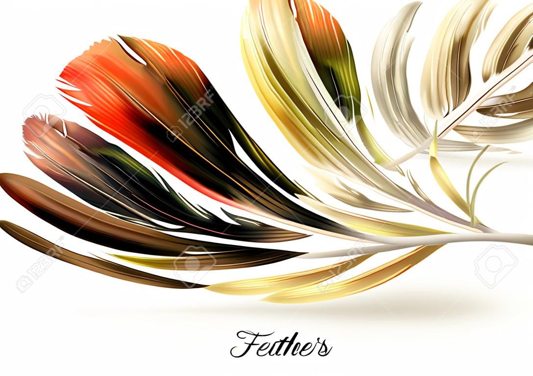 Realistic feathers - vector illustration. Isolated on white background. Eps10.