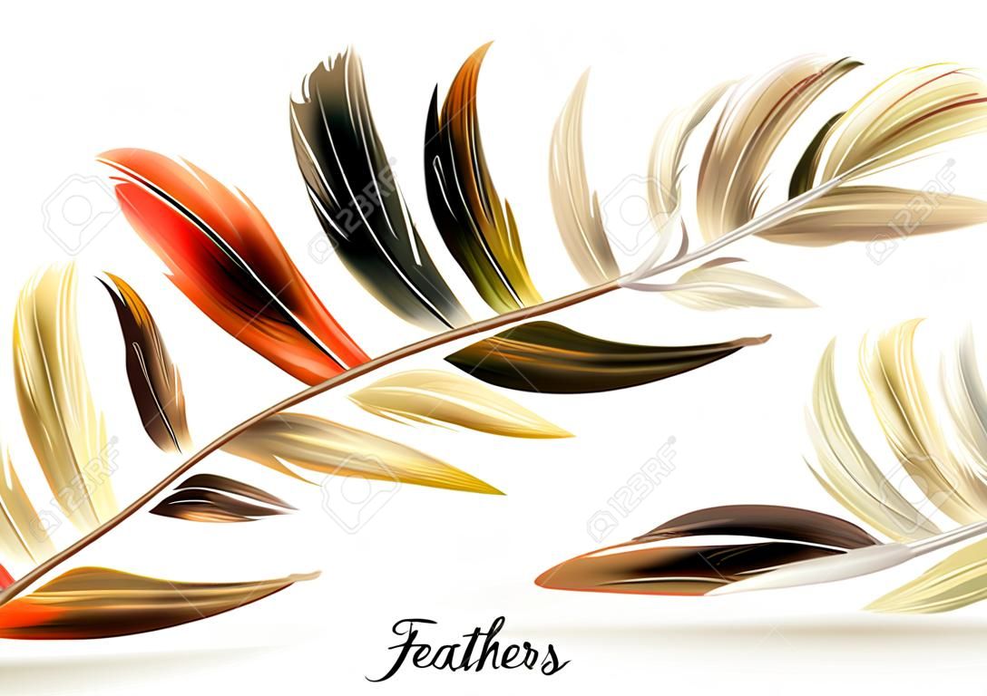 Realistic feathers - vector illustration. Isolated on white background. Eps10.