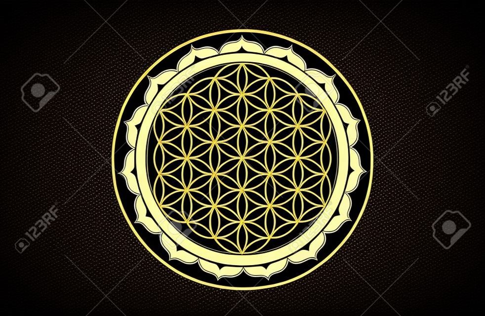 Seed of life symbol Sacred Geometry. Geometric mystic mandala or alchemy esoteric Flower of Life. Gold luxury design, vector divine meditative amulet isolated on black background