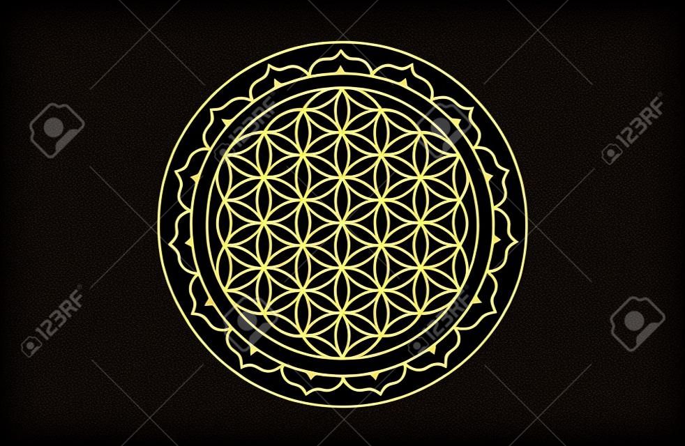 Seed of life symbol Sacred Geometry. Geometric mystic mandala or alchemy esoteric Flower of Life. Gold luxury design, vector divine meditative amulet isolated on black background
