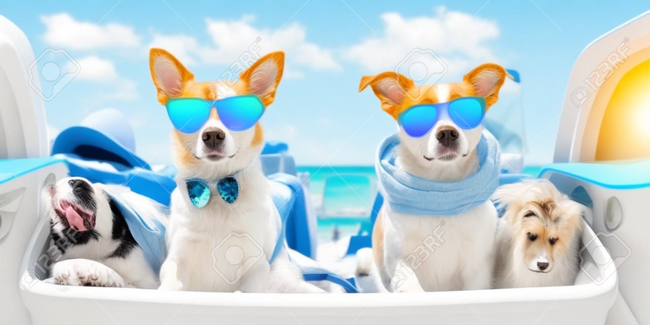 Two cool dogs with sun glasses at the beach.Vacation concept, summer feelings. Generative AI.