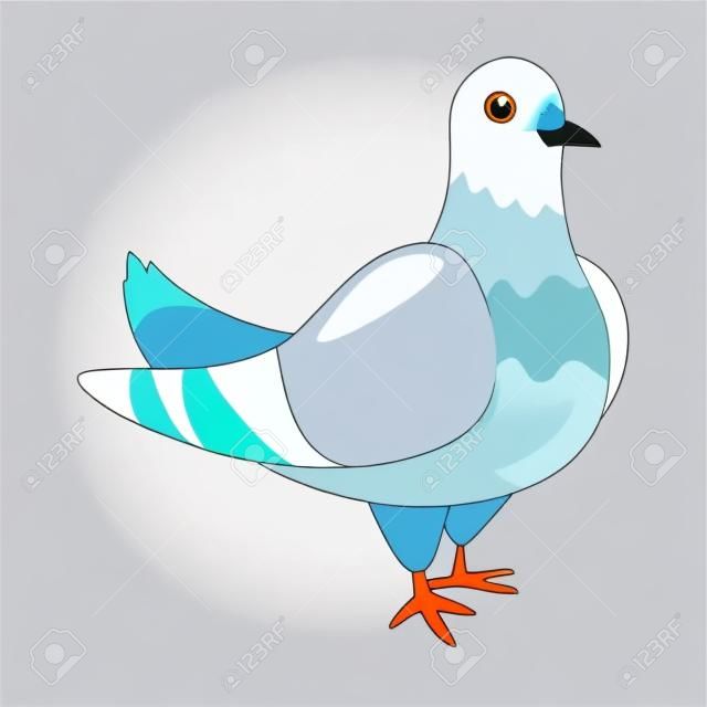 Charming dove. Breeding domestic pigeons. Cartoon vector isolated on white background