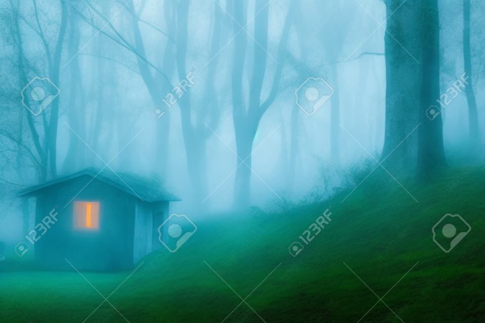 Immagine della casa fantasma nella foresta nebbiosa