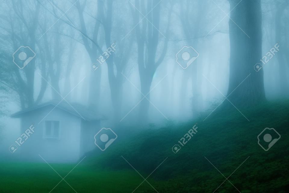 Bild des Geisterhauses im nebelhaften Wald
