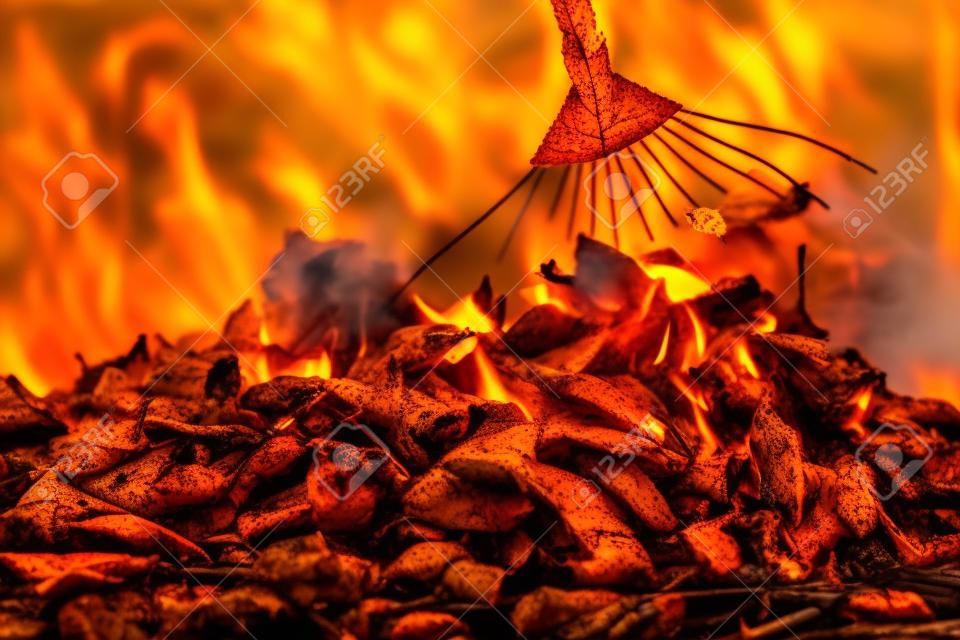Płonące jesienne ognisko z dymnymi żółtymi liśćmi w dymie